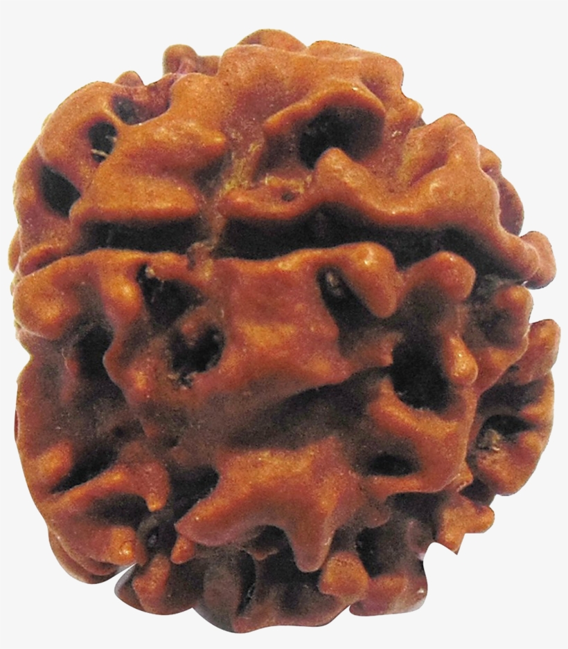 Shop Now - Belgian Waffle, transparent png