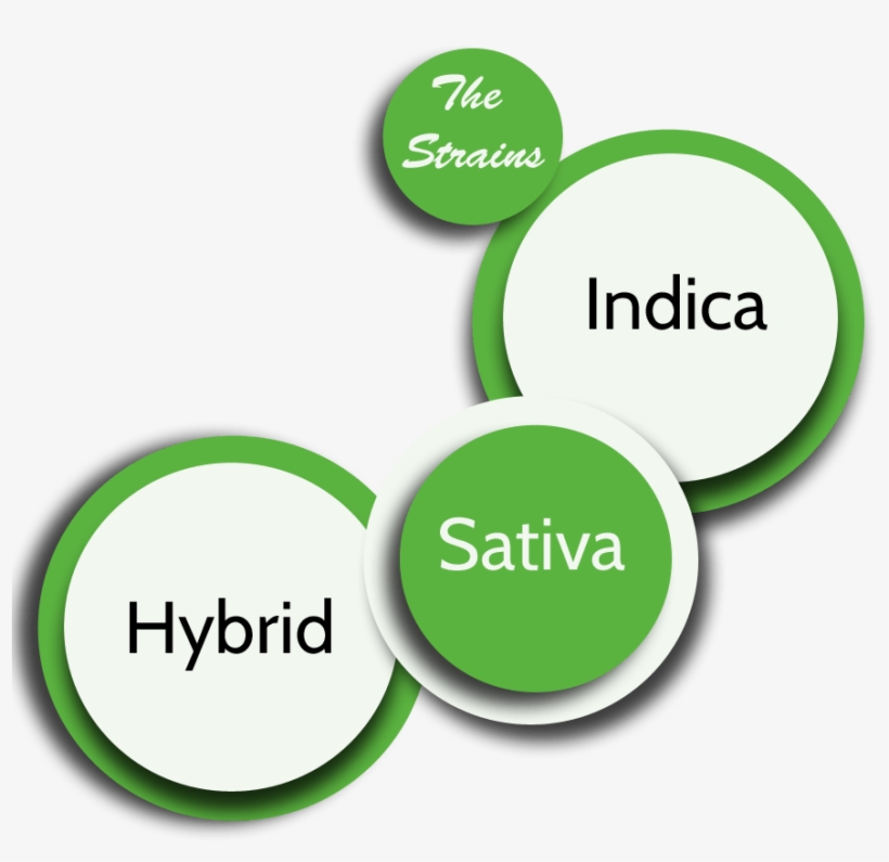 Which One Is Right For You - Circle, transparent png