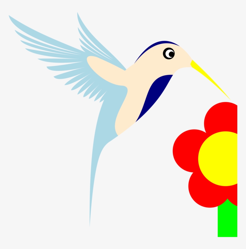 Hummingbird Computer Icons Beak, transparent png