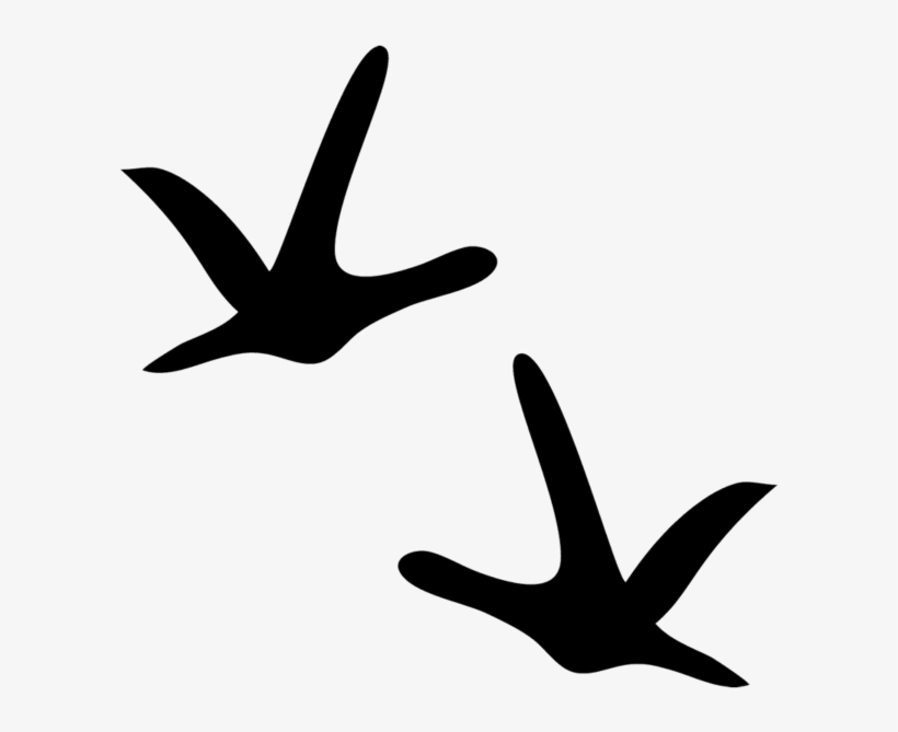 Turkey Tracks Clipart - Turkey Tracks Png, transparent png