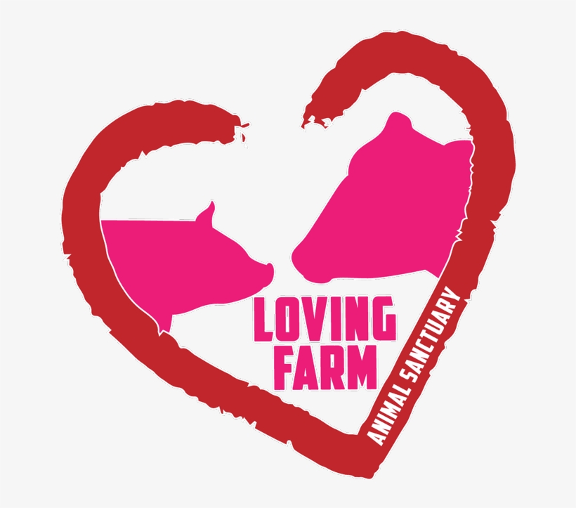 Open House At Loving Farm Animal Sanctuary This Saturday - Love, transparent png