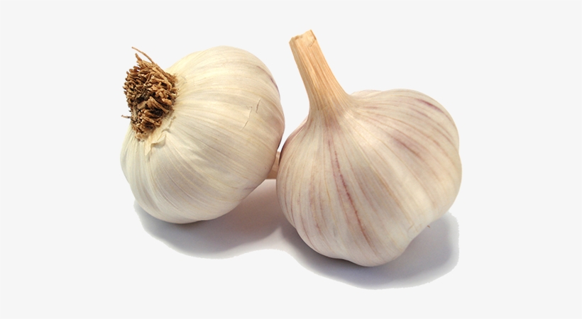 Garlic - Garlic Vegetables, transparent png