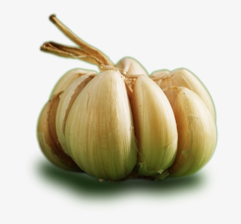 Ontos Garlic - Garlic, transparent png