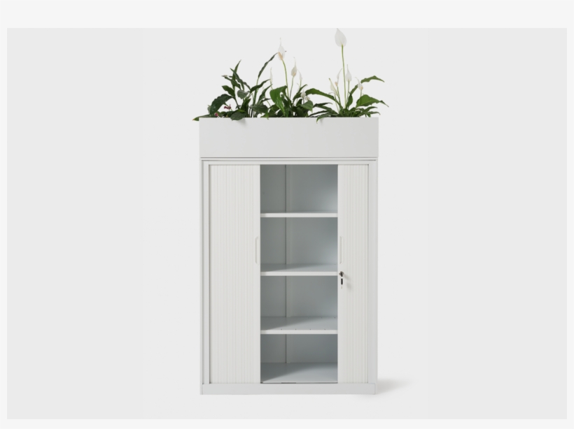 Shelf, transparent png