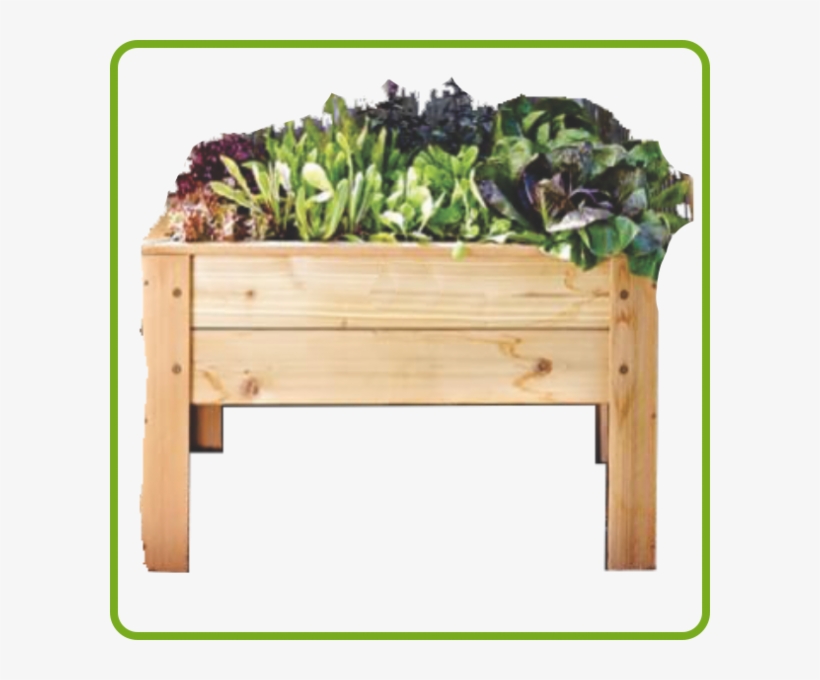 Compact Stanging Planter - Png Transparent Wooden Planter, transparent png