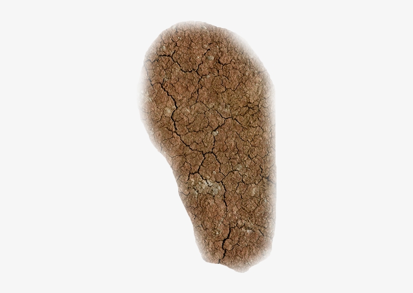 Craked Earth1 Sc - Igneous Rock, transparent png