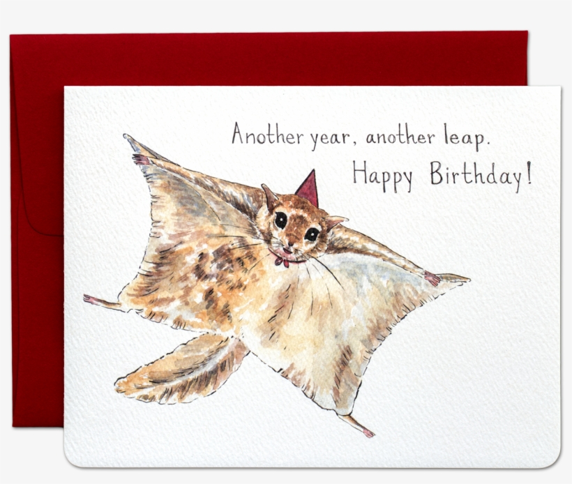 Flying Squirrel Birthday Card, transparent png
