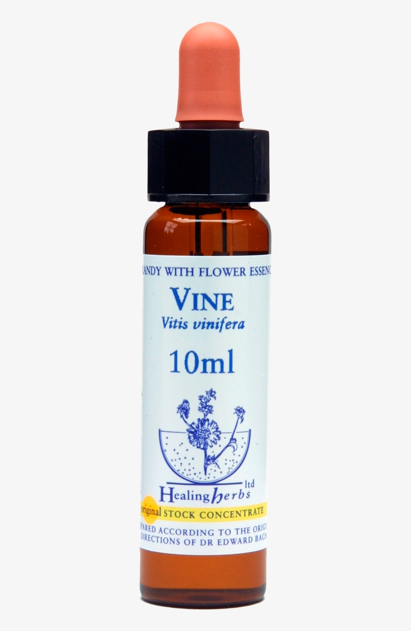 Image - Healing Herbs, transparent png