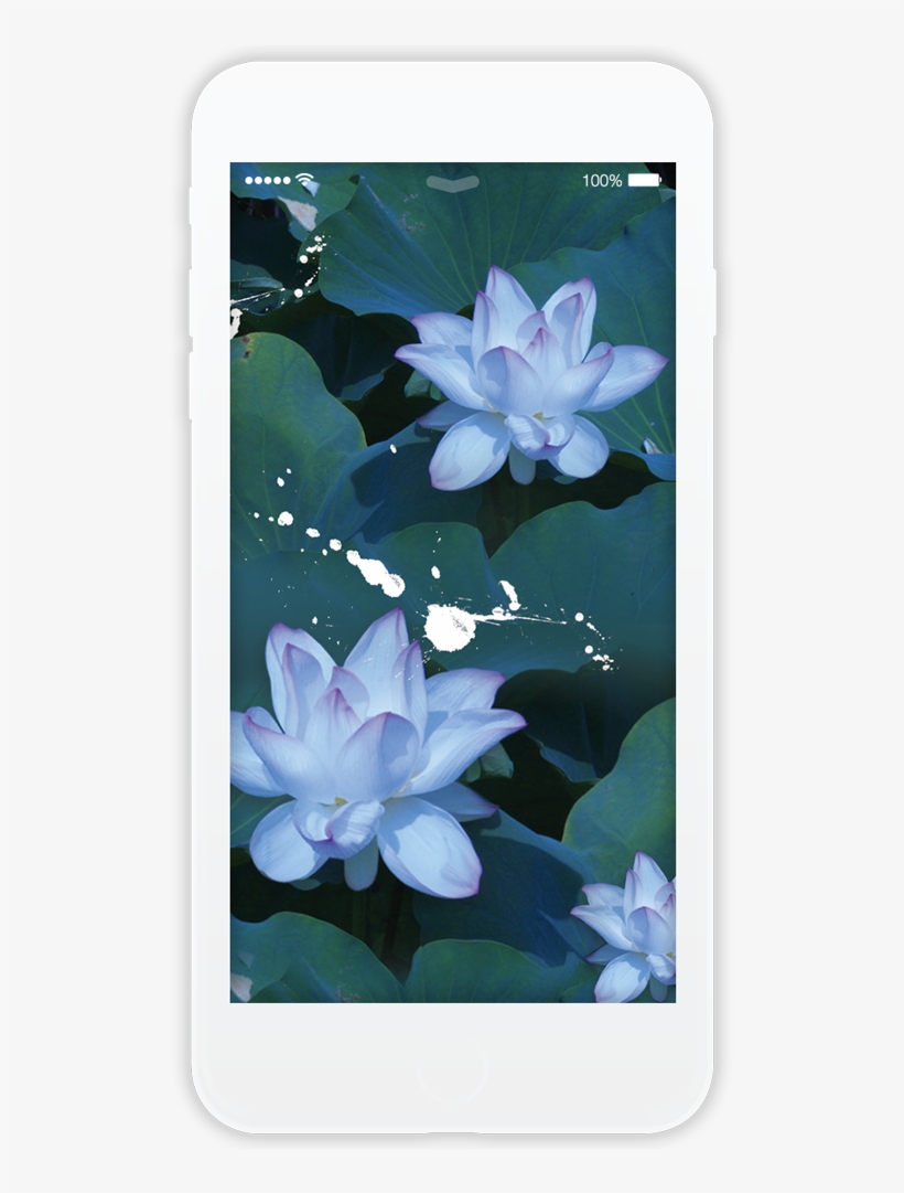 Lilys Light - Smartphone, transparent png