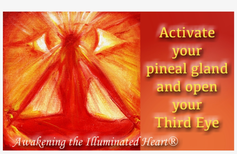 23-26 Where You Will Be Given The Process To Activate - Poster, transparent png