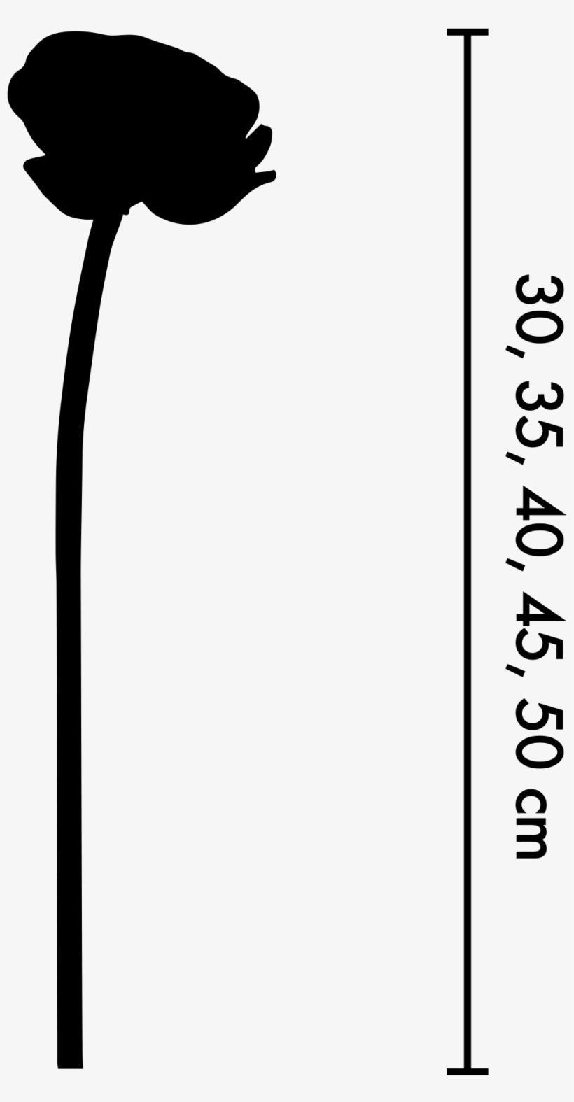 Size - Silhouette, transparent png