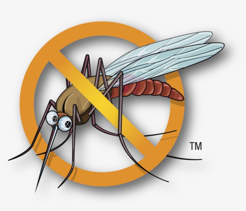 Mosquito Clipart Malaria Mosquito - No Mosquito Icon Png, transparent png