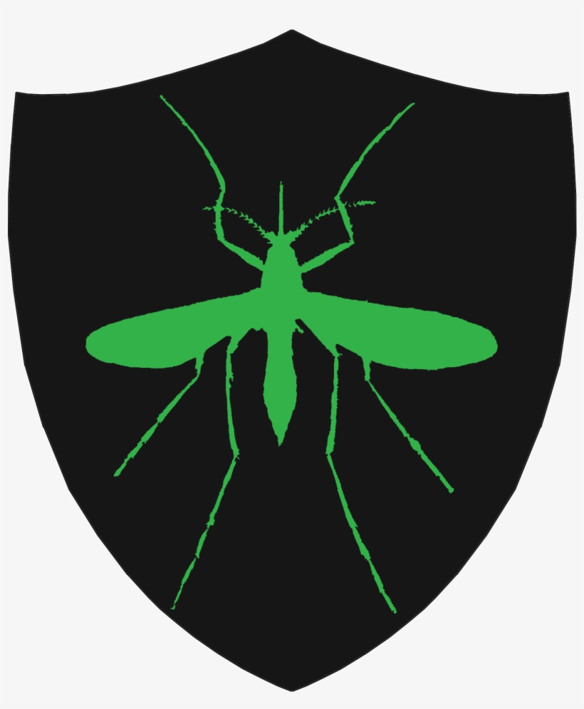 Leaf Beetle, transparent png