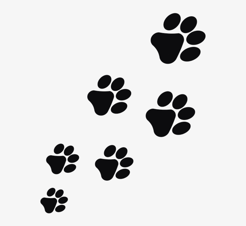 Impronte Cane Png, transparent png