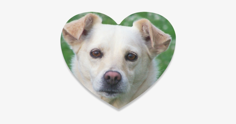 Companion Dog, transparent png
