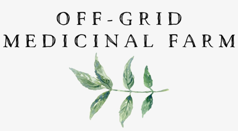 Elder Farm Off Gr - Tree, transparent png