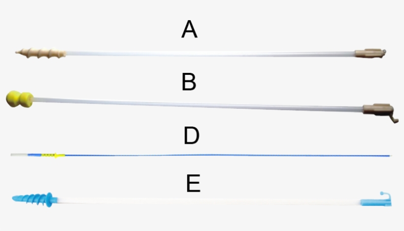 Factory Outlet Veterinary Semen Catheter Pig Catheter - Writing, transparent png