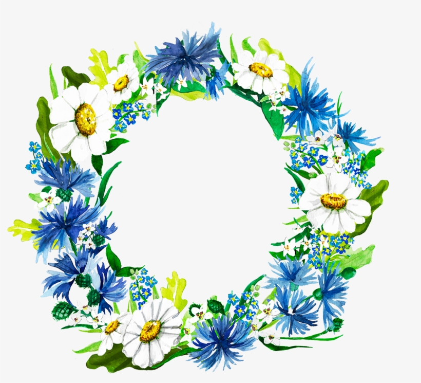 Share - African Daisy, transparent png