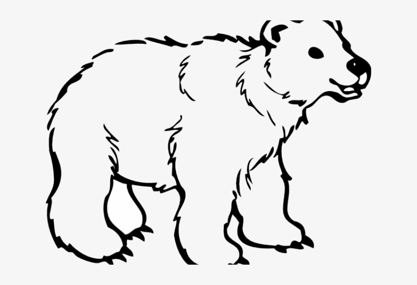 Mammal Clipart Spirit Bear - Free Clipart Black And White Animals ...