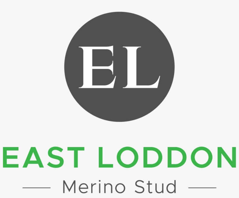 Logo - Graphic Design, transparent png