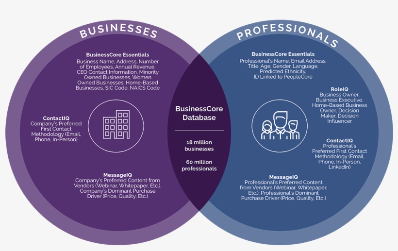 Their Background, Purchasing Style And Preferences, - Circle, transparent png