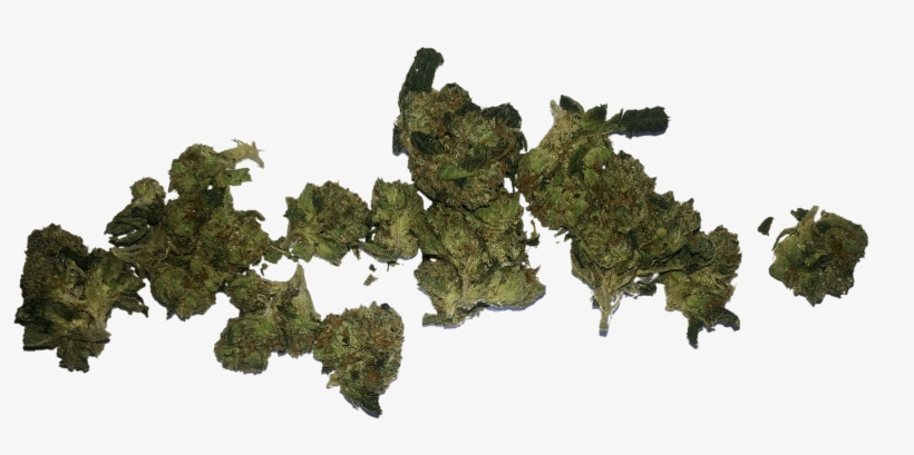 Transparent Background Weed Png, transparent png