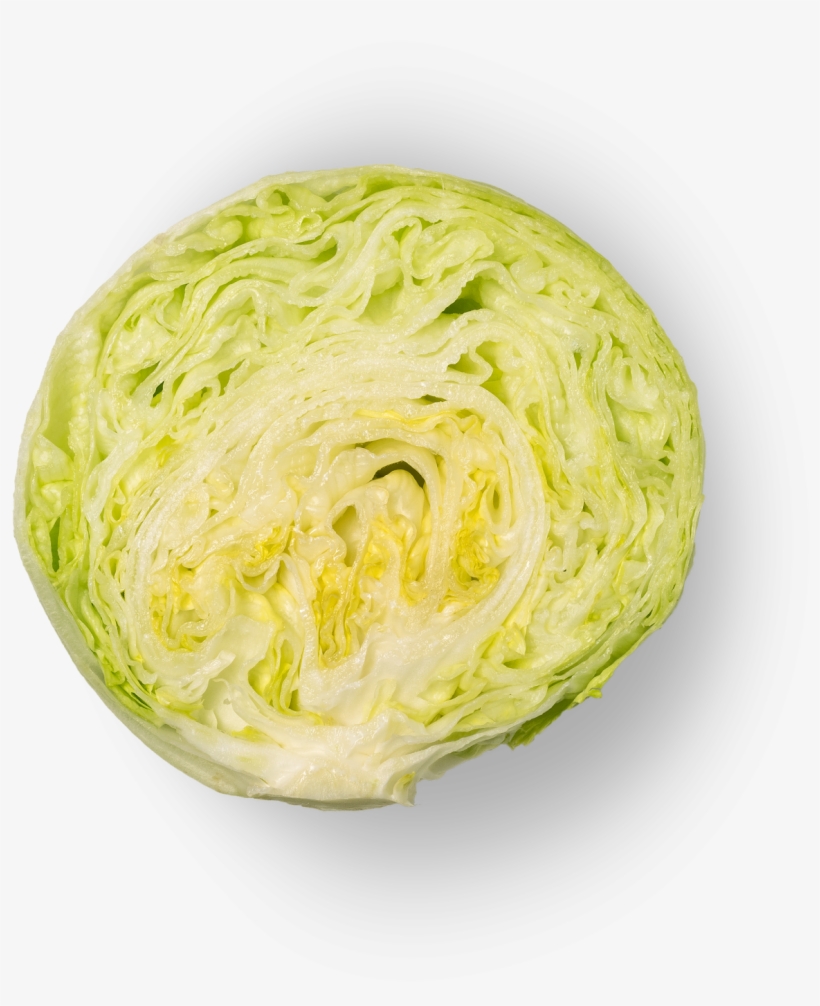 Iceberg - Iceburg Lettuce, transparent png