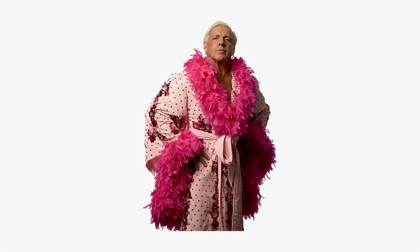 Ricflair Wooooo Thenatureboy Wwe Wwestickers Wwefans - Ric Flair Costume Halloween, transparent png