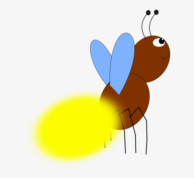 Firefly Png, transparent png