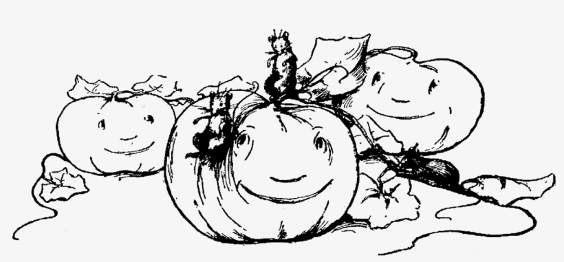 Carolyn Iott On Twitter - Cartoon, transparent png