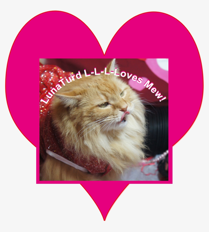 A Lunaturd Love Tune - Cat Yawns, transparent png