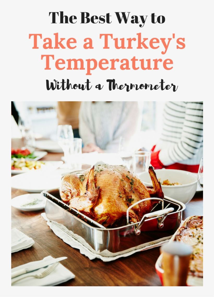 The Best Way To Take A Turkey's Temperature Without - Does Salmonella Look On A Turkey, transparent png