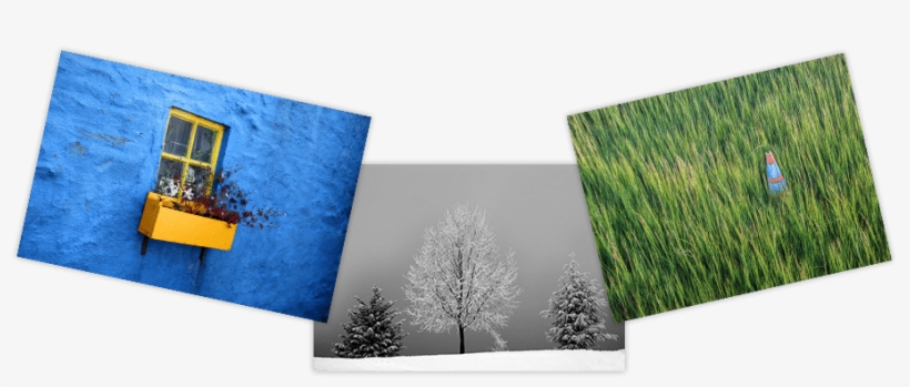 Maybe You Just Don't Like It Once You Get It Easy - Artificial Turf, transparent png