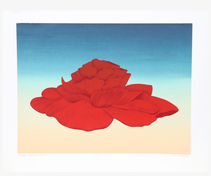 4096 X 3216 1 - Common Zinnia, transparent png