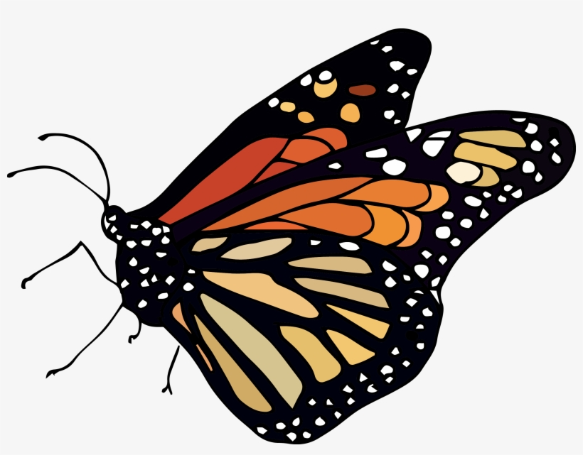 Nature Sticker Sheet - Butterfly Nature Clipart, transparent png