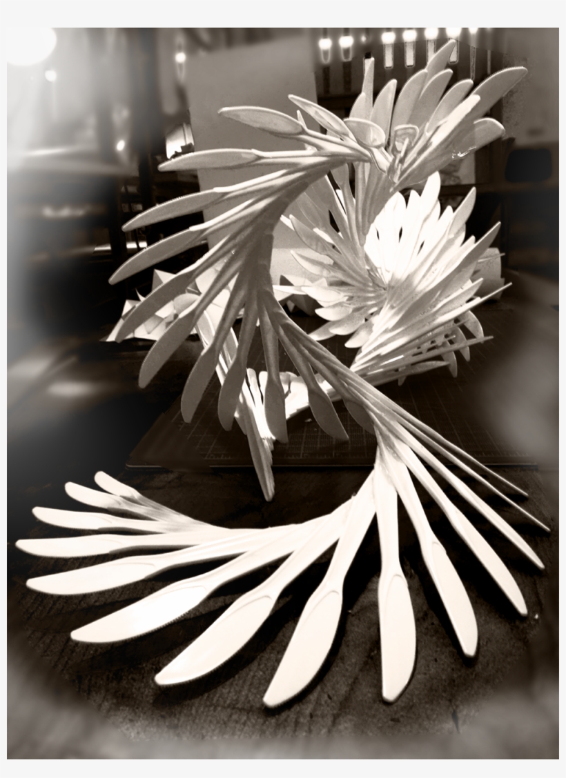 Web, transparent png