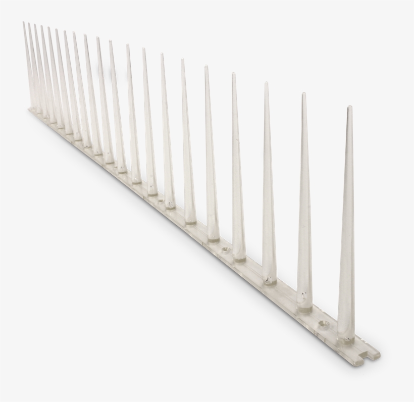 Whites 600mm Anti Bird Pest Control Spike - Darkness, transparent png