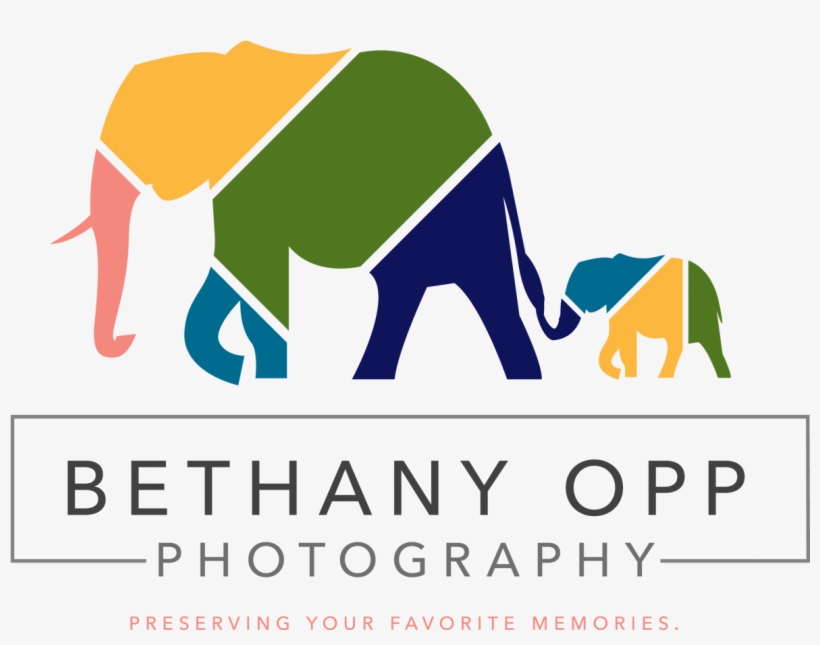 Bethany Opp Photography - Indian Elephant, transparent png