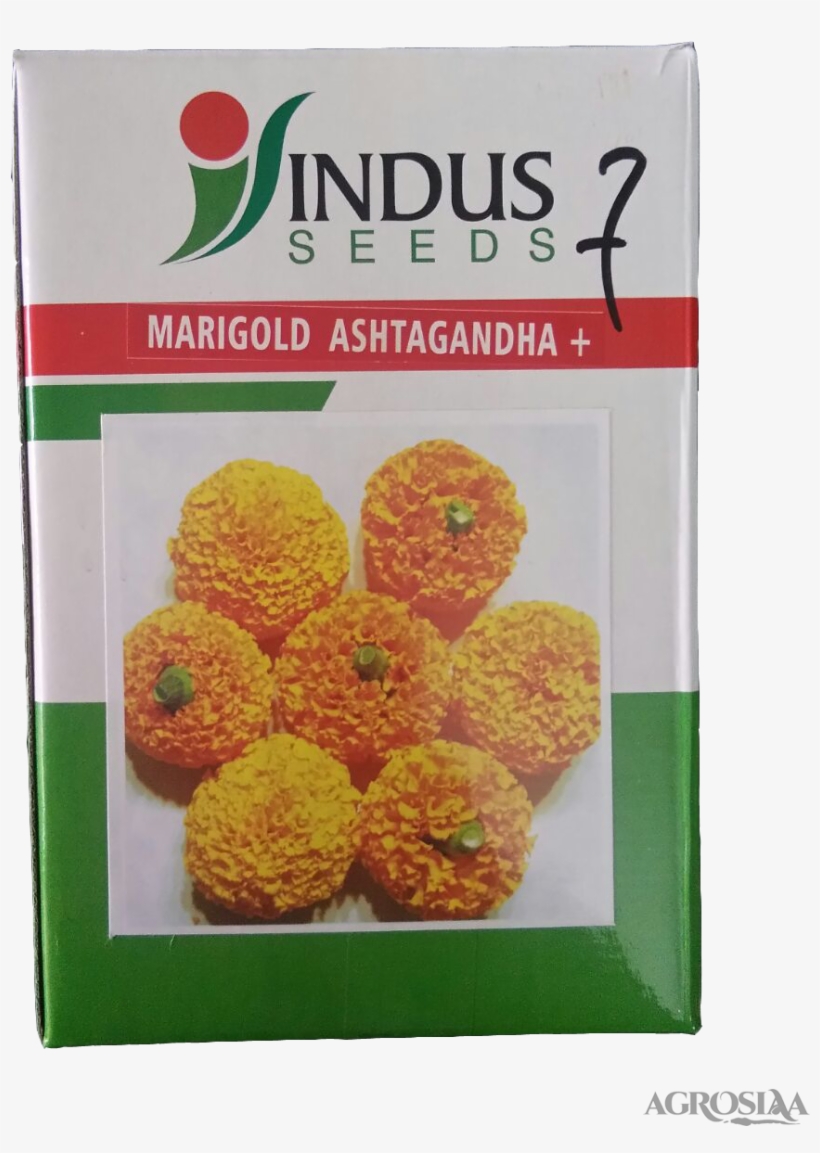 Indus Ashtagandha - Marigold Ashtagandha, transparent png