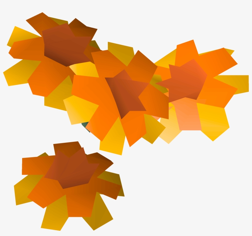 Graphic Design, transparent png
