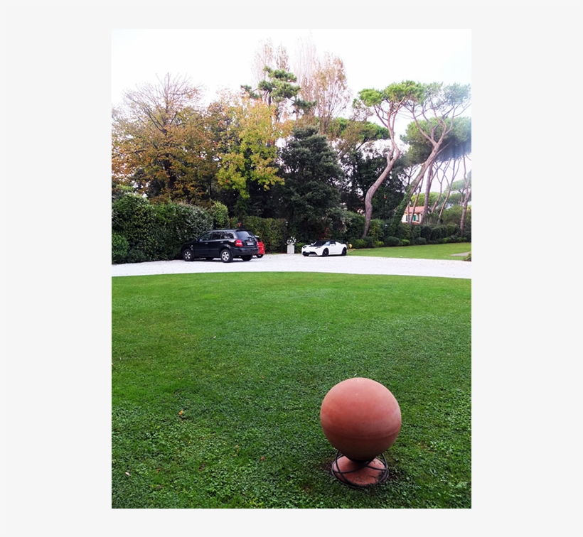 Lawn, transparent png
