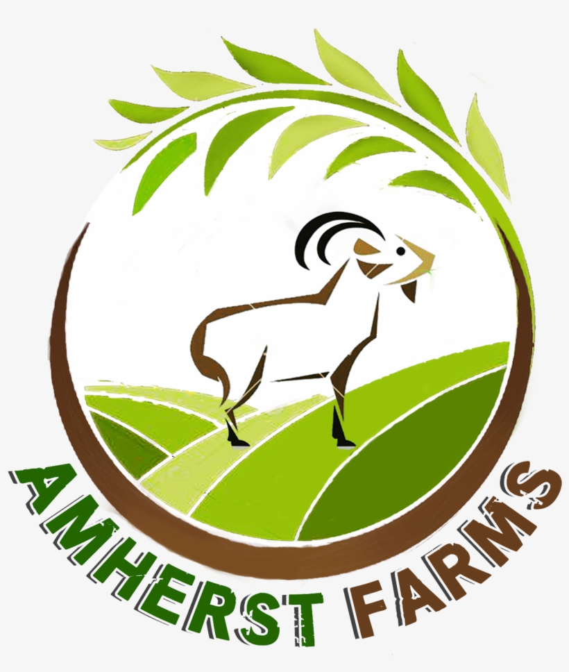 Amherst Farms - Goat, transparent png