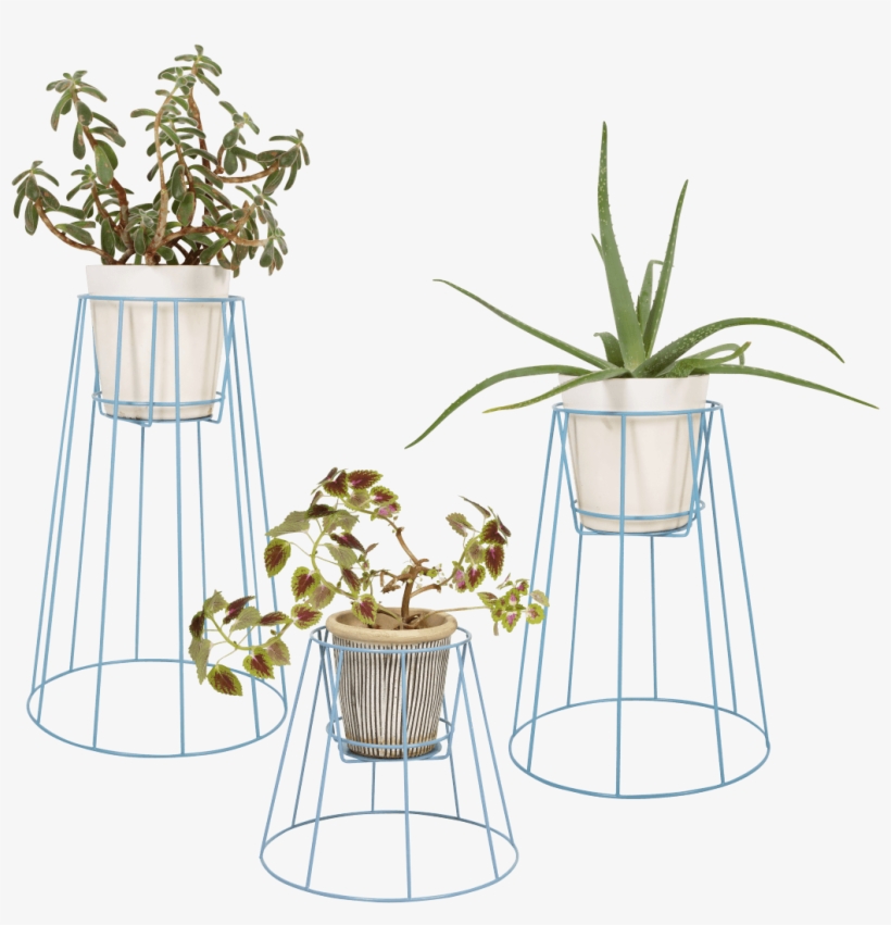 Plant Stand Cibele - Cibele Plant, transparent png