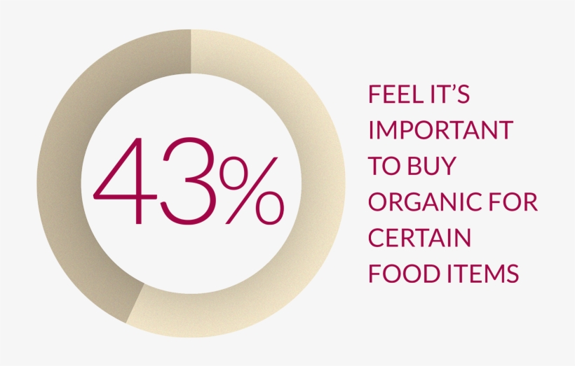 43percent - Circle, transparent png