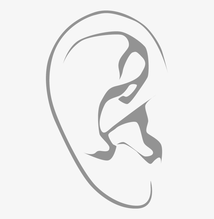 Ear-right - Illustration - 468x760 PNG Download - PNGkit