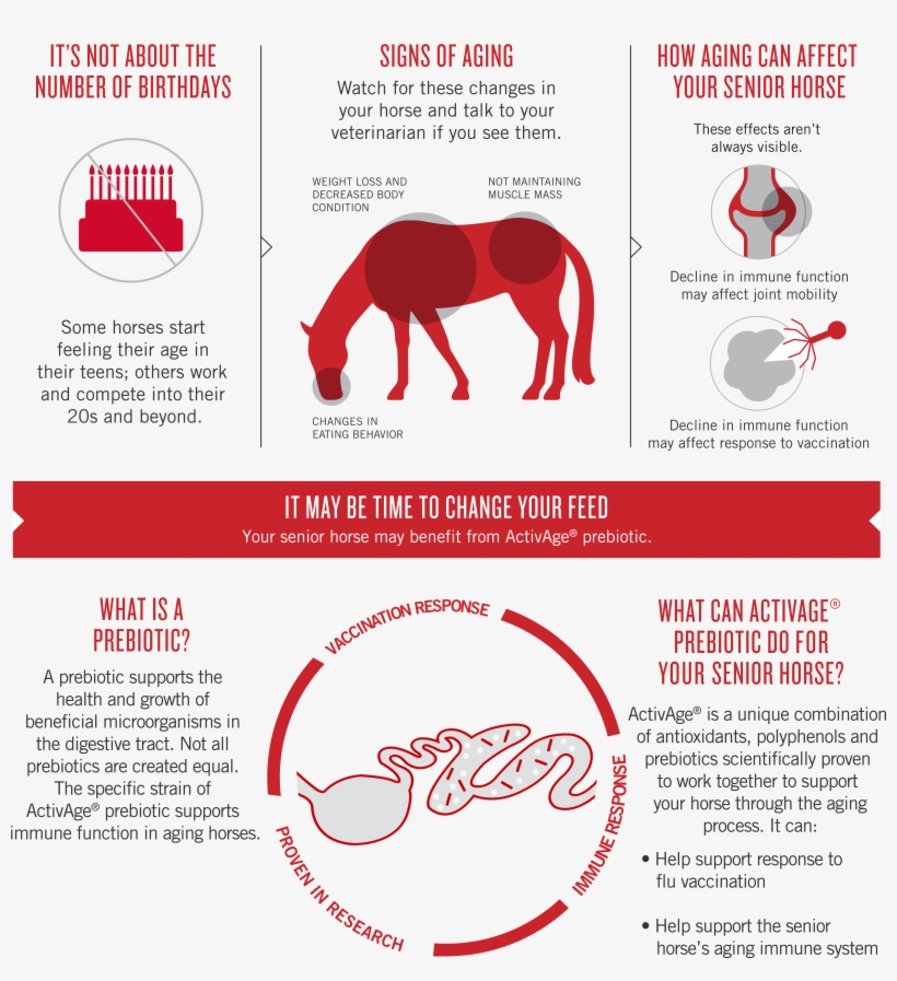 Try Activeage Prebiotic - Stallion, transparent png