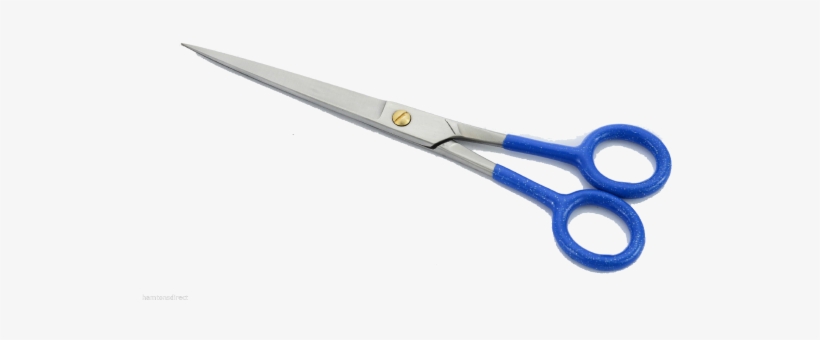 Scissors, transparent png
