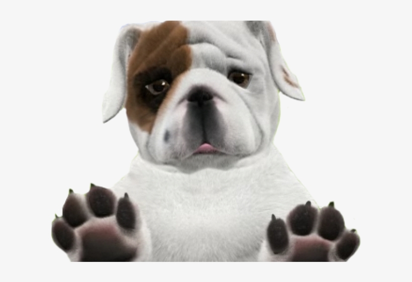 Bulldog Png Transparent Images - Huawei, transparent png