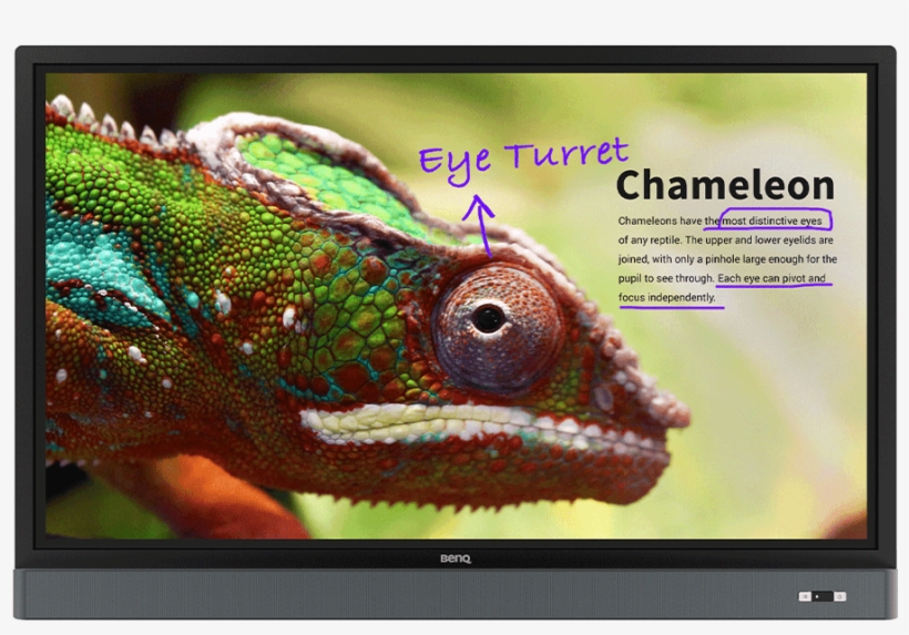Rm5501k 55" Education Interactive Flat Panel - Benq Rm5501k, transparent png