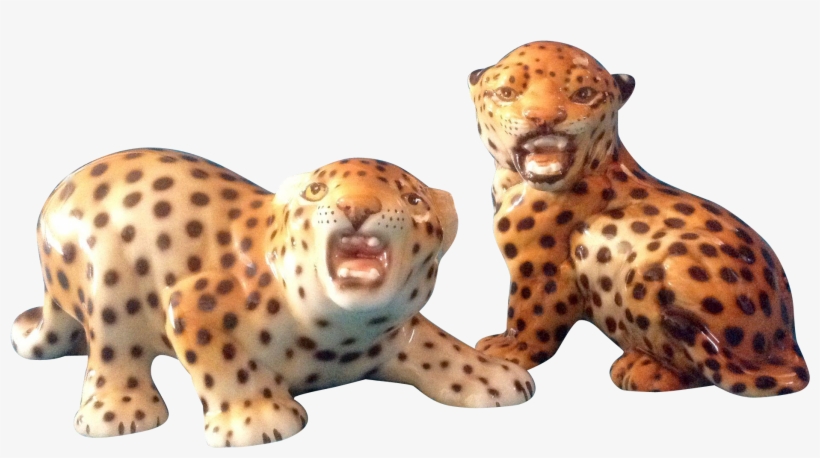 Leopard, transparent png